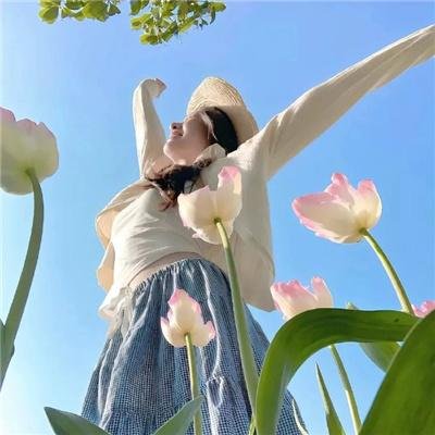 精灵宝可梦:比克提尼与黑之英雄捷克罗姆粤语